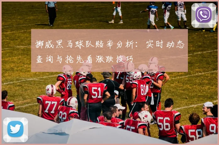 挪威黑马球队赔率分析：实时动态查询与抢先看涨跌技巧